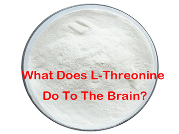 What Does L-Threonine Do To The Brain?